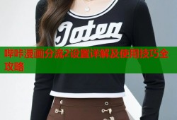 哔咔漫画分流2设置详解及使用技巧全攻略
