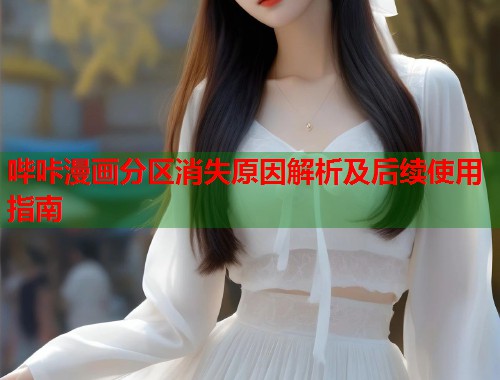 哔咔漫画分区消失原因解析及后续使用指南