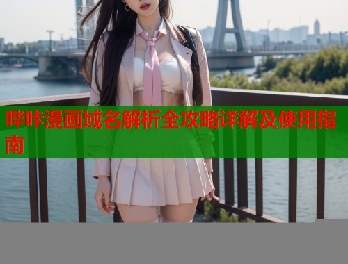 哔咔漫画域名解析全攻略详解及使用指南